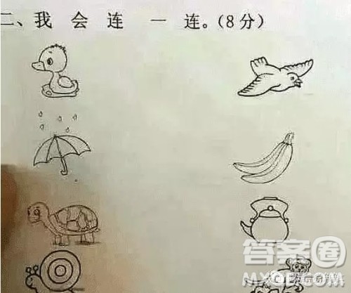 鸭子雨伞蜗牛乌龟连线答案  鸭子雨伞乌龟蜗牛连一连正确答案