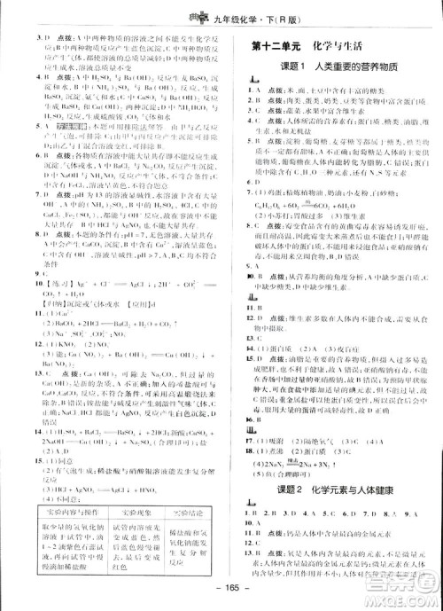 典中点综合应用创新题2019九年级下册化学人教版答案