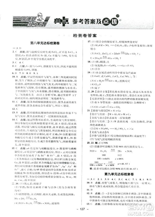 典中点综合应用创新题2019九年级下册化学人教版答案