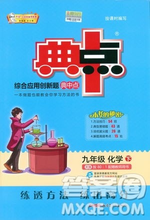 典中点综合应用创新题2019九年级下册化学人教版答案