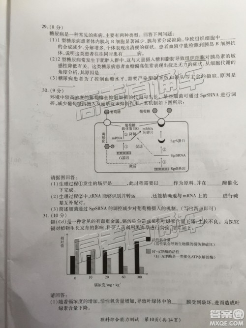 2019年高三厦门一检文理综参考答案 2019年高三厦门一检文理综参考答案