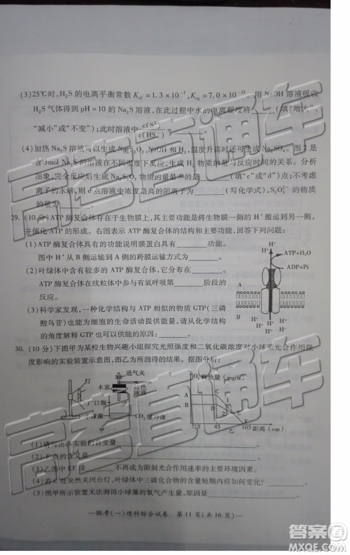 2019衡阳一模文科理科综合试题及答案解析