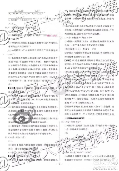 2019年3月四省名校高三第三次大联考理综参考答案 2019年3月四省名校高三第三次大联考理综参考答案