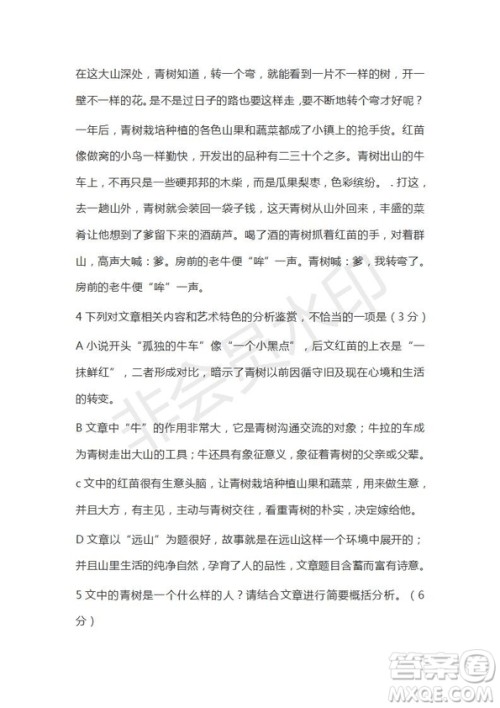 河北省衡水市第十三中学2019届高三质检四语文试题及答案解析