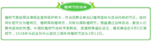 2019年植树节手抄报怎么制作