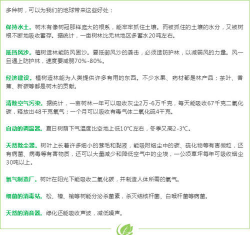 2019年植树节手抄报怎么制作