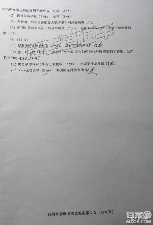2019年3月潍坊一模文综、理综试题及参考答案 2019年3月潍坊一模文综、理综试题及参考答案
