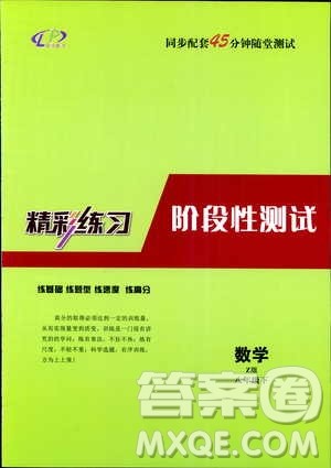 2019年精彩练习阶段性测试数学Z版八年级下参考答案 2019年精彩练习阶段性测试数学Z版八年级下参考答案