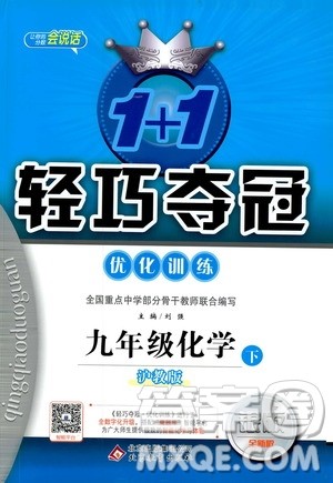 2019版1+1轻巧夺冠优化训练九年级化学下册沪教版参考答案
