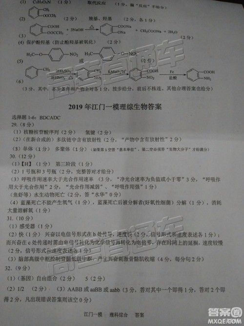 2019年江门高三一模文综理综试题及参考答案 2019年江门高三一模文综理综试题及参考答案