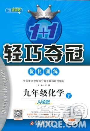 2019年1+1轻巧夺冠优化训练九年级下册化学人教版参考答案