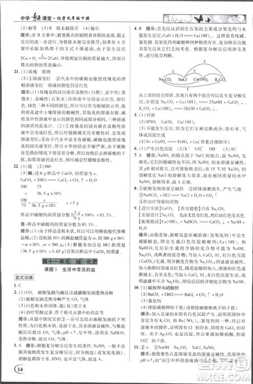2019春新世纪英才教程人教版中学奇迹课堂九年级化学下册答案