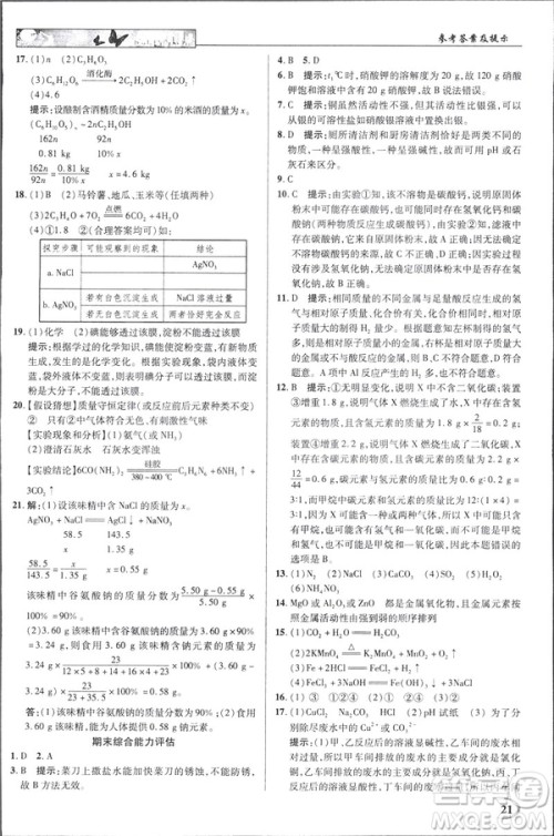 2019春新世纪英才教程人教版中学奇迹课堂九年级化学下册答案