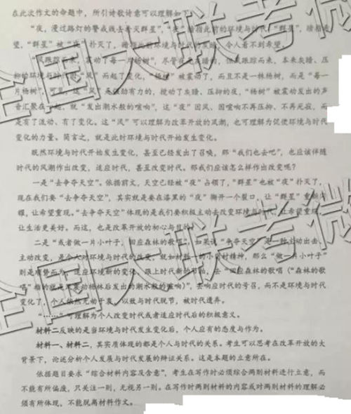 共享时代下的个体与组织作文 共享时代下的个体与组织作文