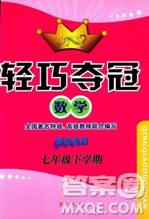 金博士2019年轻巧夺冠七年级数学下册青岛专用参考答案