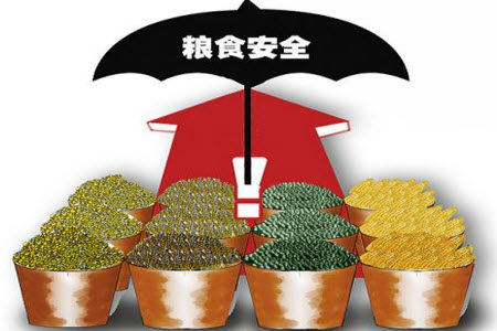 粮食安全的作文 关于粮食安全的作文 粮食安全的作文 关于粮食安全的作文