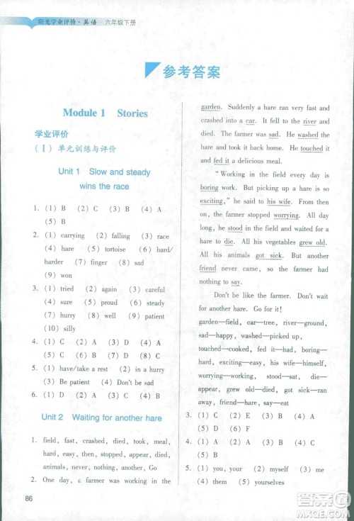 2019年阳光学业评价小学英六年级下册教科版广州地区专用答案