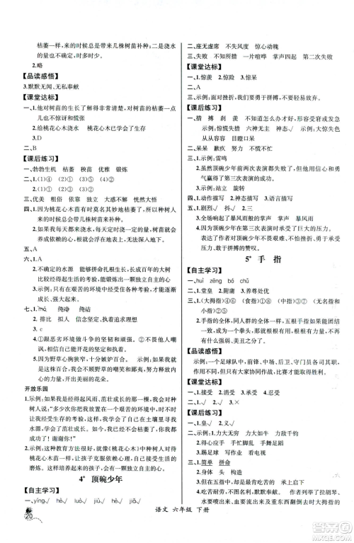 河北专版2019年人教版六年级下册语文同步导学案课时练参考答案