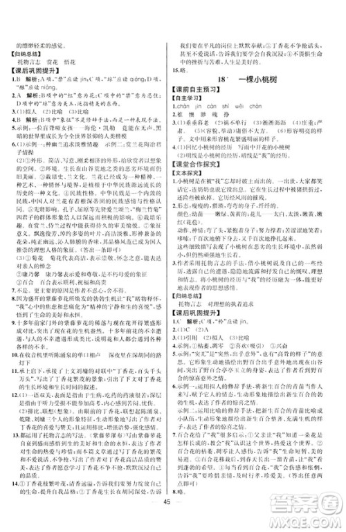 人教版课时练七年级下册语文同步学历案2019年河北专版参考答案