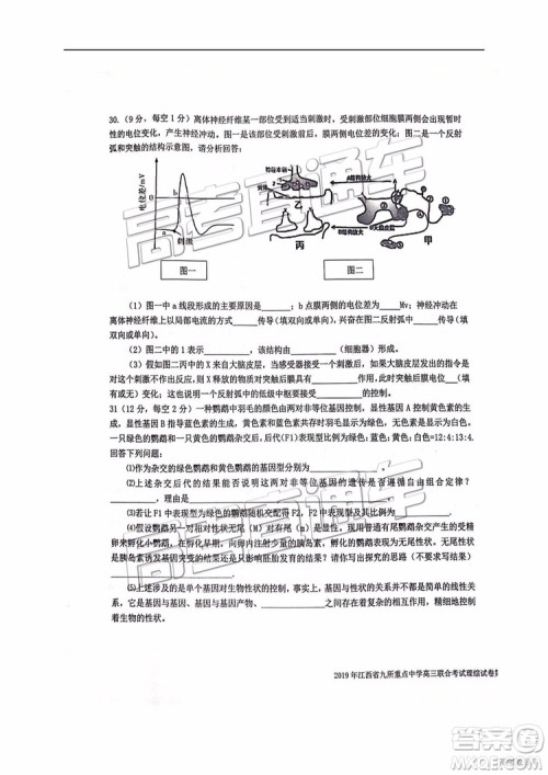 2019年江西省九校3月联考文综理综试题及参考答案