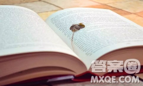 如何进行青少年的培养作文 如何进行青少年的培养议论文800字 如何进行青少年的培养作文 如何进行青少年的培养议论文800字