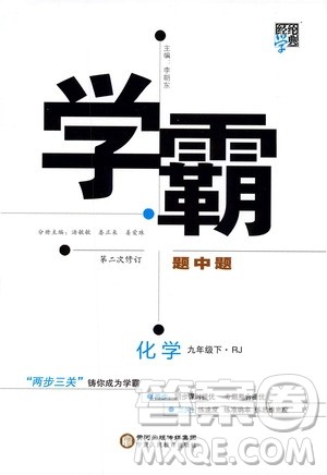 2019版经纶学典学霸题中题九年级化学下册人教RJ版参考答案