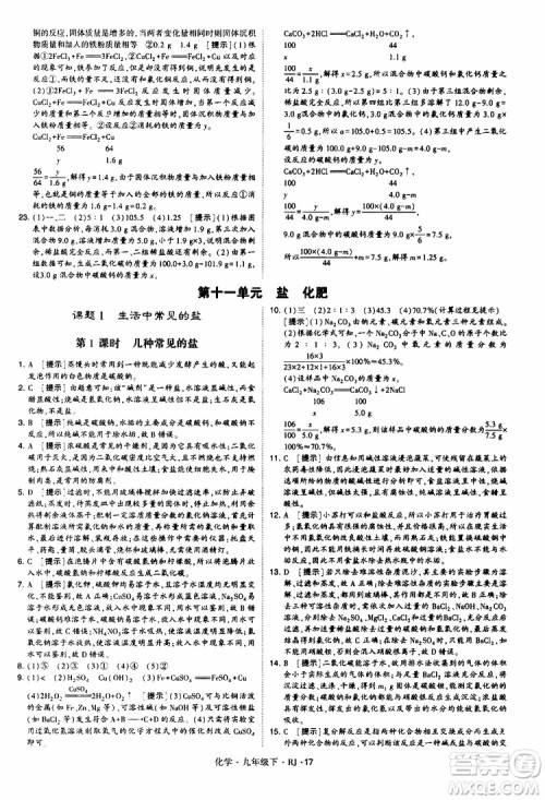 2019版经纶学典学霸题中题九年级化学下册人教RJ版参考答案