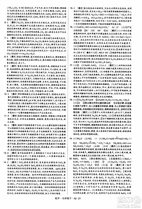 2019版经纶学典学霸题中题九年级化学下册人教RJ版参考答案