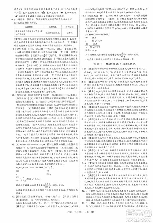 2019版经纶学典学霸题中题九年级化学下册人教RJ版参考答案