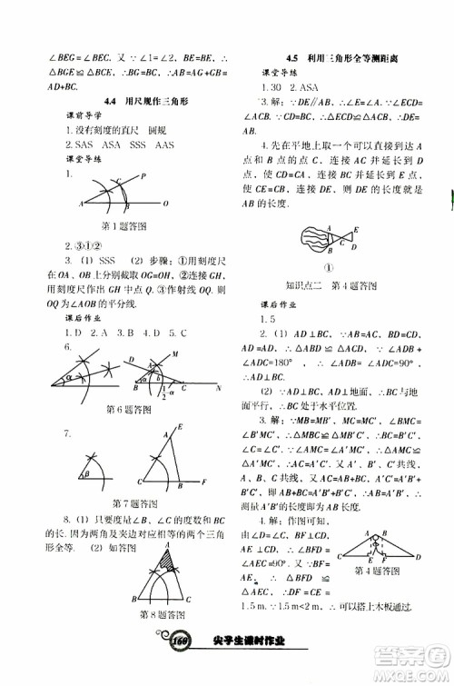 2019版尖子生新课堂课时作业七年级数学下册BS版参考答案 2019版尖子生新课堂课时作业七年级数学下册BS版参考答案