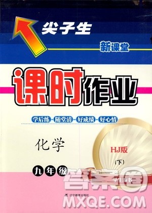 2019年尖子生新课堂课时作业化学九年级下册HJ版沪教版参考答案