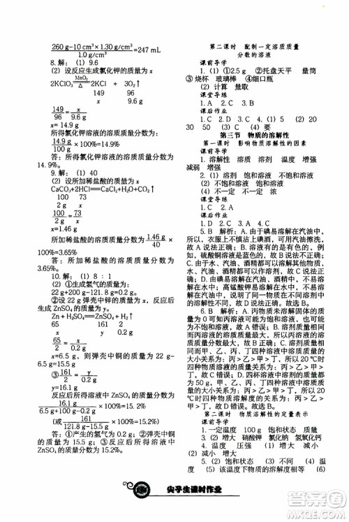 2019年尖子生新课堂课时作业化学九年级下册HJ版沪教版参考答案