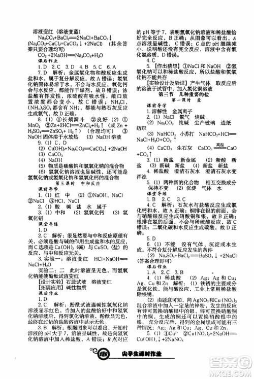 2019年尖子生新课堂课时作业化学九年级下册HJ版沪教版参考答案