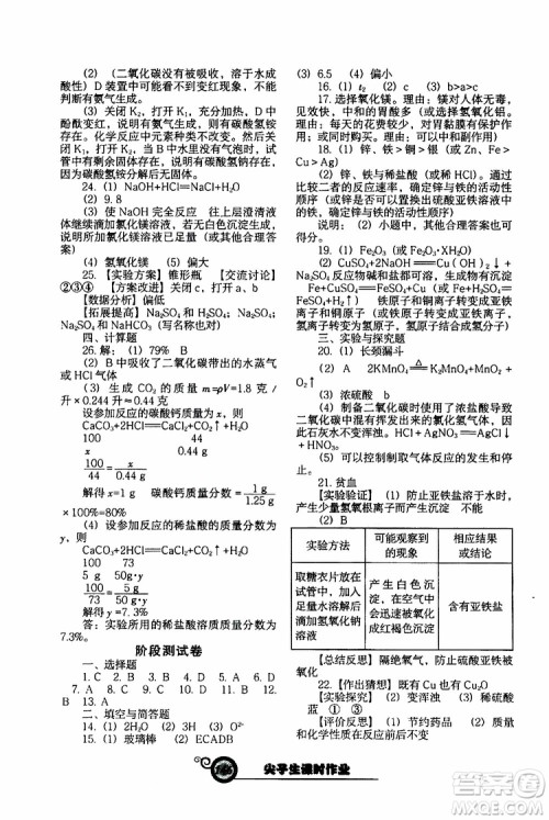 2019年尖子生新课堂课时作业化学九年级下册HJ版沪教版参考答案