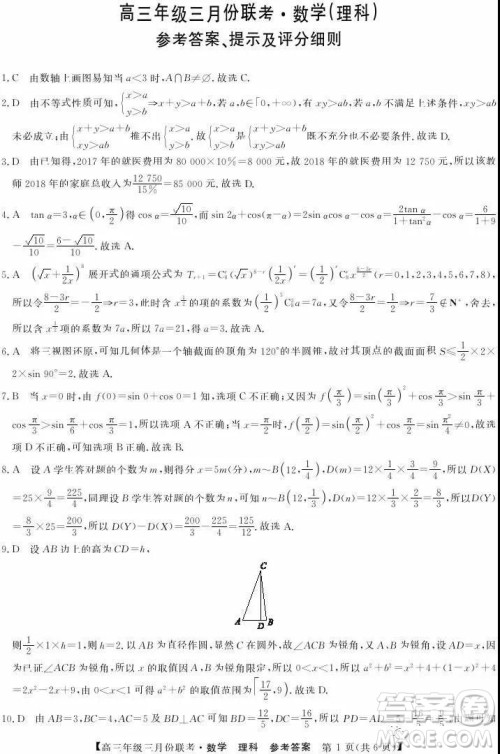 2019年毛坦厂中学高三3月联考理科数学试题及答案