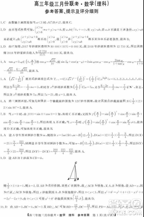 2019年毛坦厂中学高三3月联考理科数学试题及答案