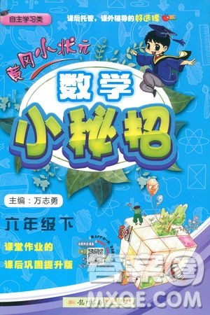 2019春黄冈小状元数学小密招六年级下册数学人教版参考答案