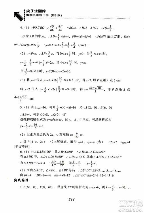 2019年尖子生题库数学九年级下册BS版北师版参考答案
