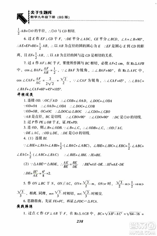 2019年尖子生题库数学九年级下册BS版北师版参考答案