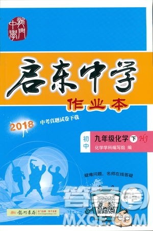 2019春正版启东中学作业本九年级化学下HJ沪教版答案