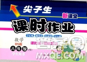 2019年尖子生新课堂课时作业六年级下数学课时练错题笔记BS版北师版参考答案