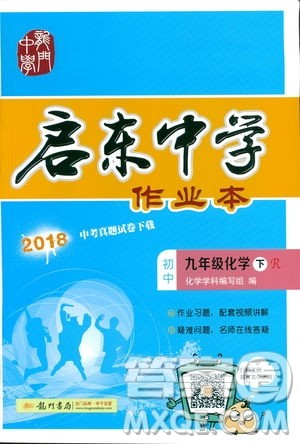 2019新版启东中学作业本九年级化学下R人教版答案