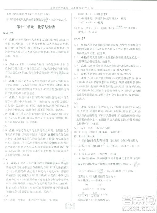 2019新版启东中学作业本九年级化学下R人教版答案