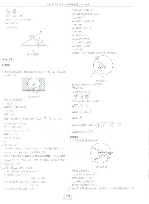 2019新版启东中学作业本九年级数学下BS北师大版答案 2019新版启东中学作业本九年级数学下BS北师大版答案