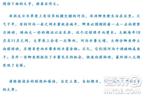 非洲尼日尔草原鲫鱼作文 关于非洲尼日尔草原鲫鱼生存作文 非洲尼日尔草原鲫鱼作文 关于非洲尼日尔草原鲫鱼生存作文