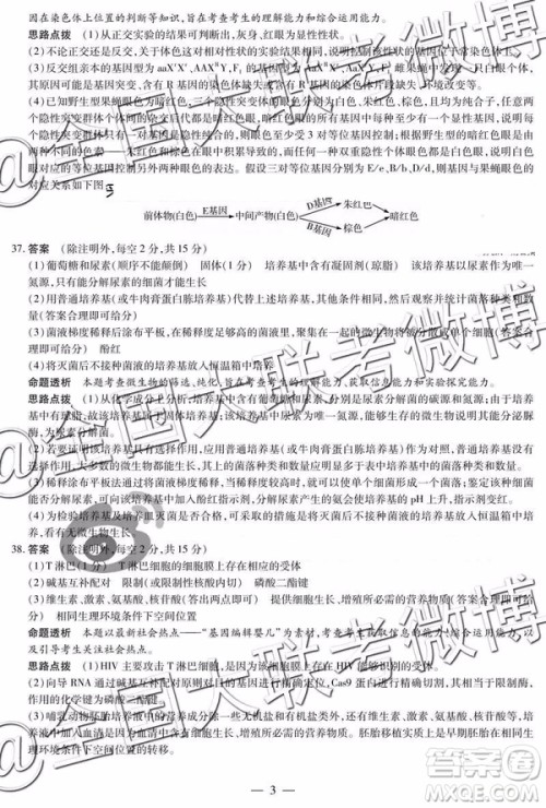 2019年安阳二模文综理综答案解析 2019年安阳二模文综理综答案解析