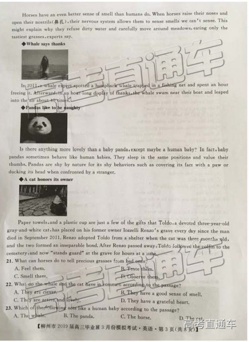 2019年3月柳州三模英语参考答案 2019年3月柳州三模英语参考答案