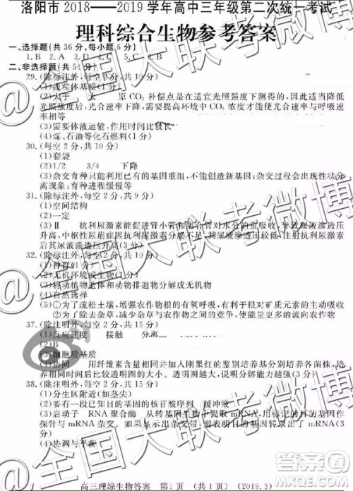 2019年洛阳二练文综理综答案解析 2019年洛阳二练文综理综答案解析