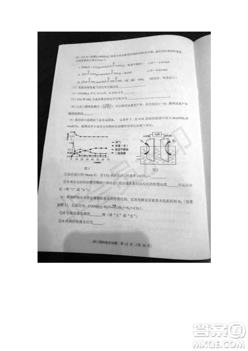 北京市石景山2019年高三一模文综理综试题及答案