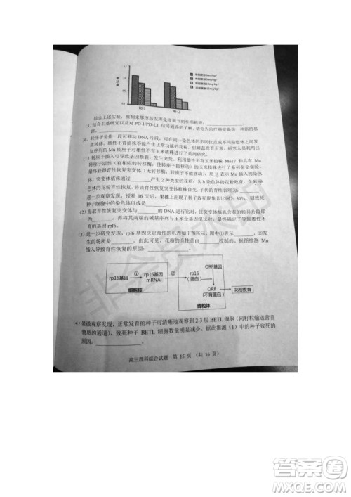 北京市石景山2019年高三一模文综理综试题及答案